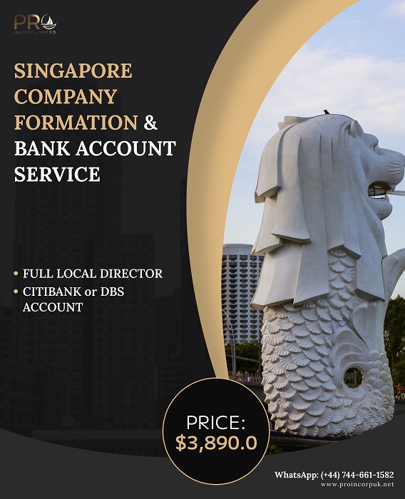 Singapore Company Formation and Bank Account Service